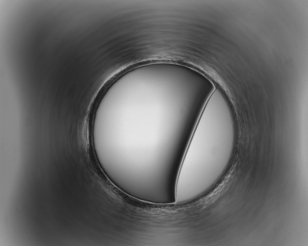 X0000096210838200801181007