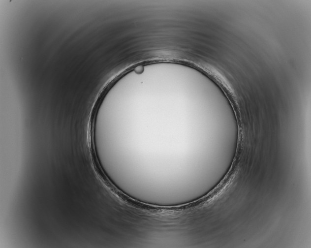 X0000096210839200801181007