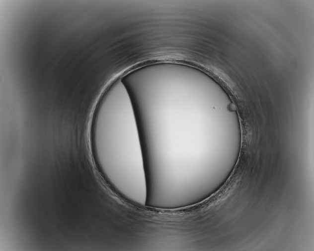 X0000096210840200801181007