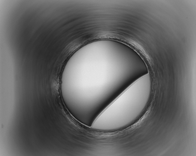 X0000096210841200801181007