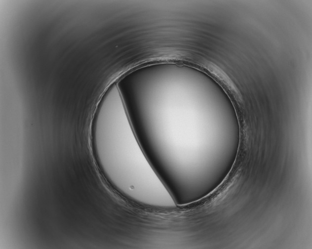 X0000096210842200801181008