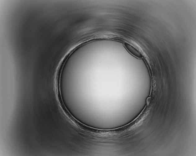 X0000096210843200801181008
