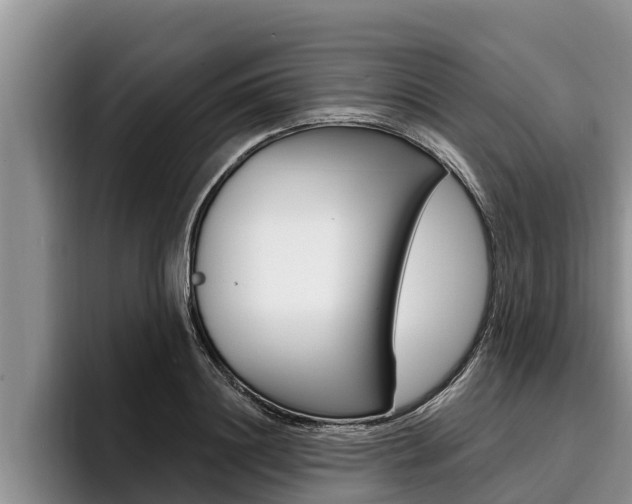 X0000096210844200801181008