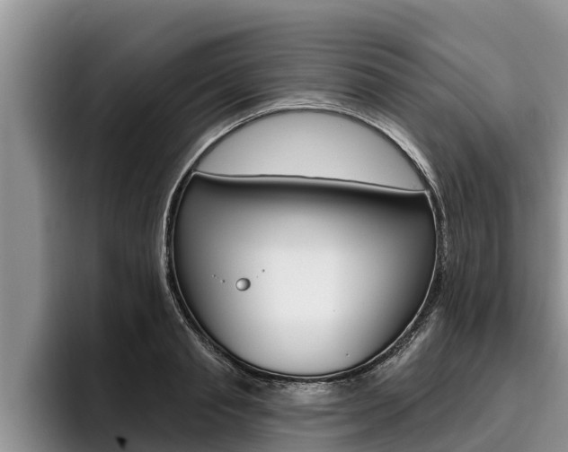 X0000096210845200801181008