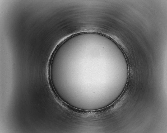 X0000096210846200801181008