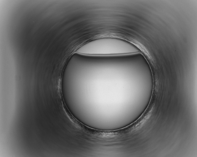 X0000096210849200801181008