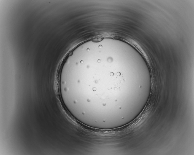 X0000096210851200801181008