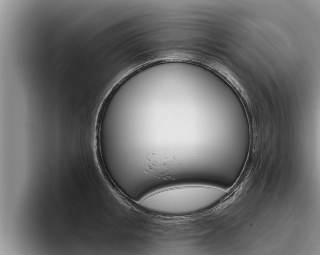 X0000096210853200801181008
