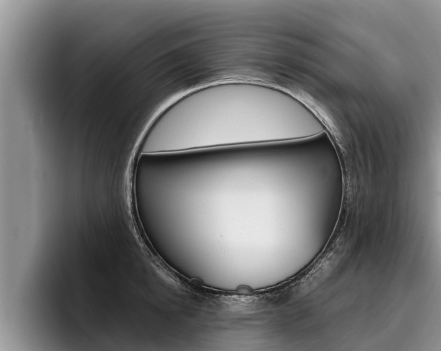 X0000096210854200801181008