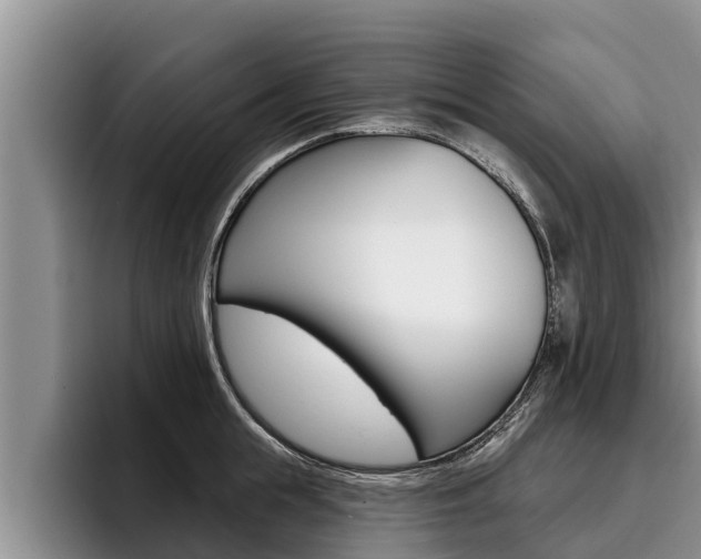 X0000096210855200801181008