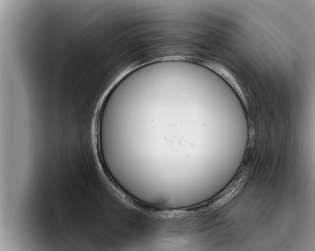 X0000096210859200801181008