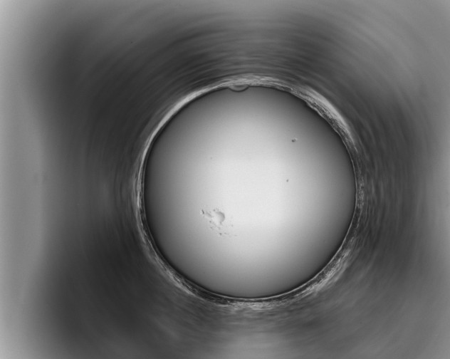 X0000096210860200801181008