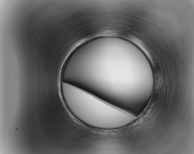 X0000096210861200801181008