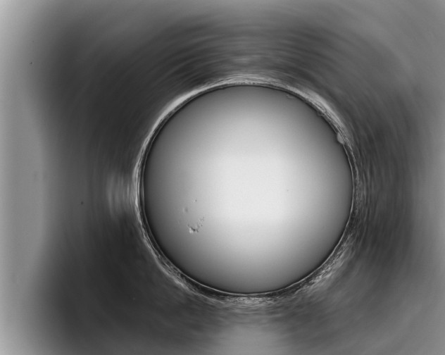 X0000096210862200801181008