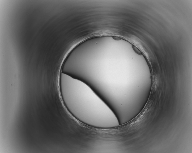 X0000096210863200801181008