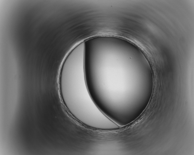 X0000096210864200801181008