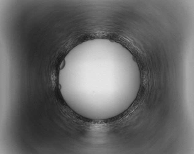 X0000096210866200801181007
