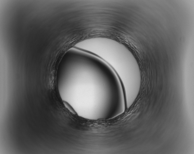 X0000096210868200801181007