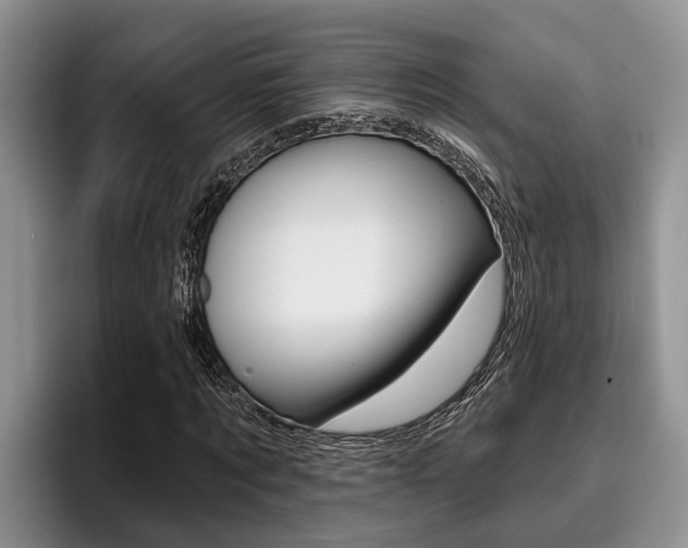 X0000096210869200801181007
