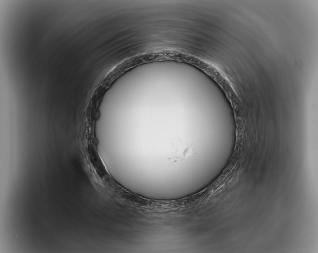 X0000096210871200801181007