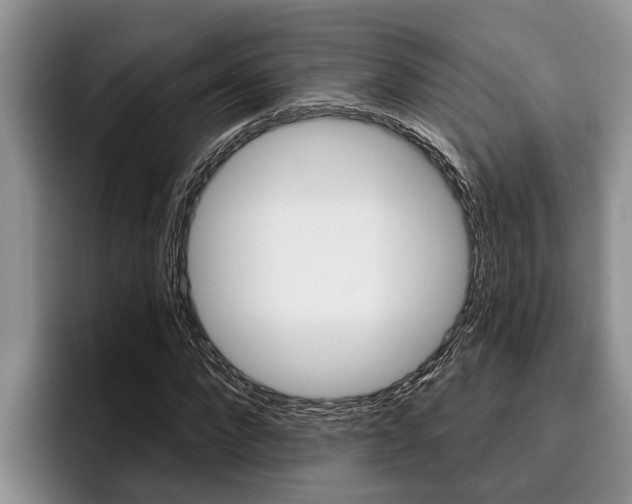 X0000096210872200801181007