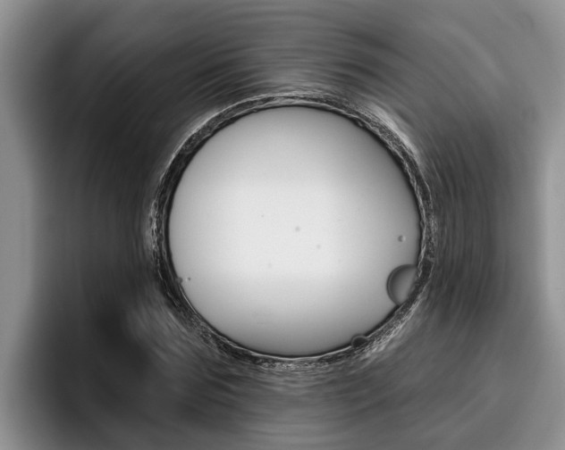 X0000096210875200801181007