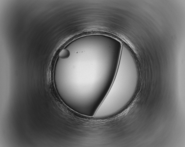 X0000096210877200801181007