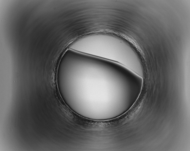 X0000096210881200801181007
