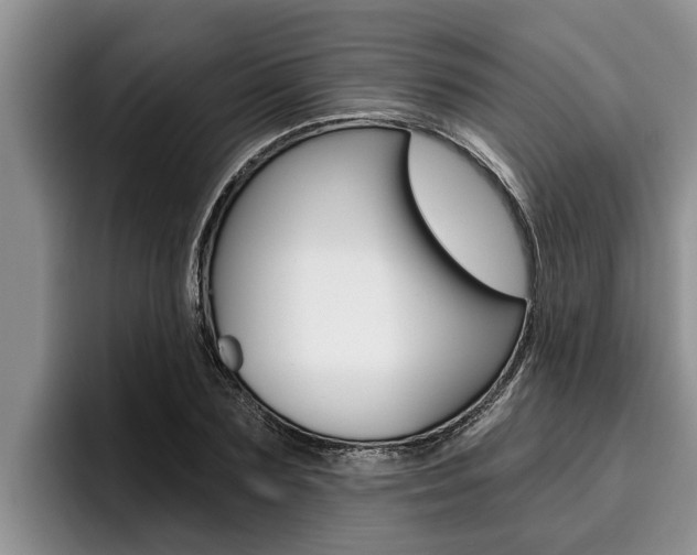 X0000096210883200801181007