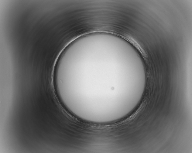 X0000096210884200801181007