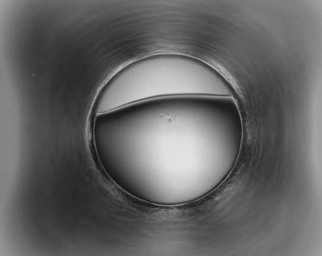 X0000096210885200801181007