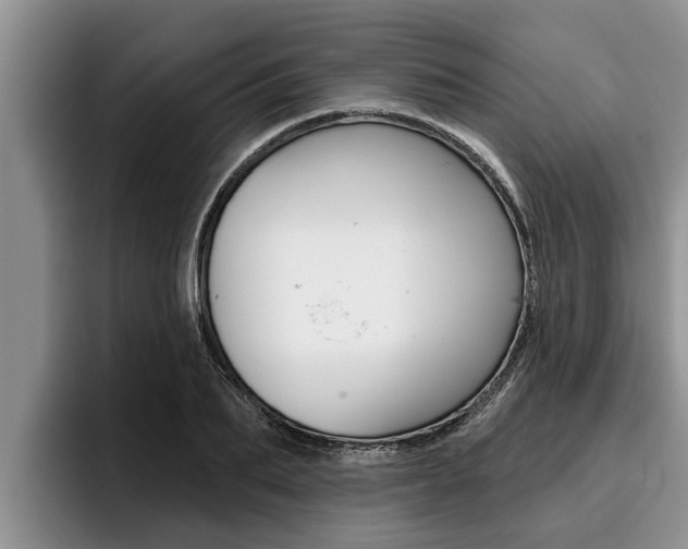 X0000096210887200801181007