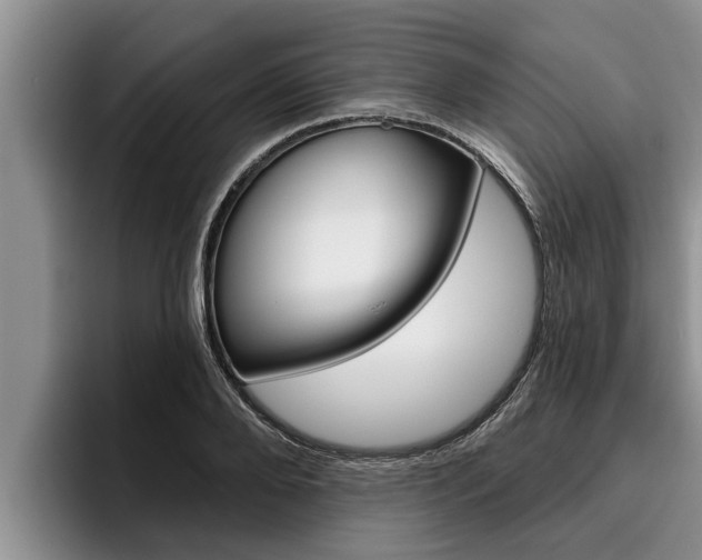 X0000096210888200801181007