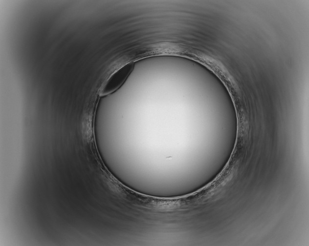X0000096210889200801181007