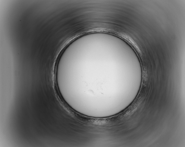 X0000096210890200801181007