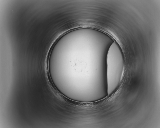 X0000096210891200801181007