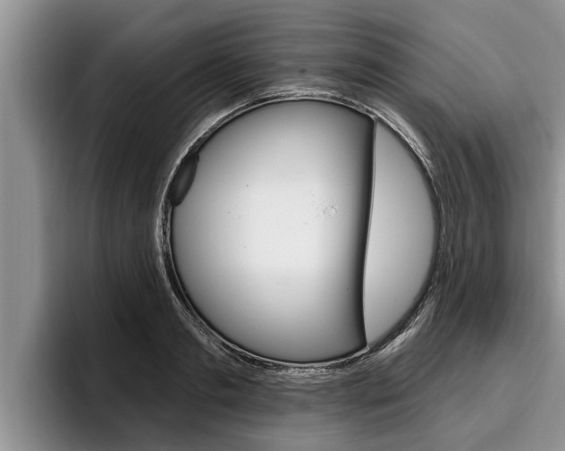 X0000096210893200801181007
