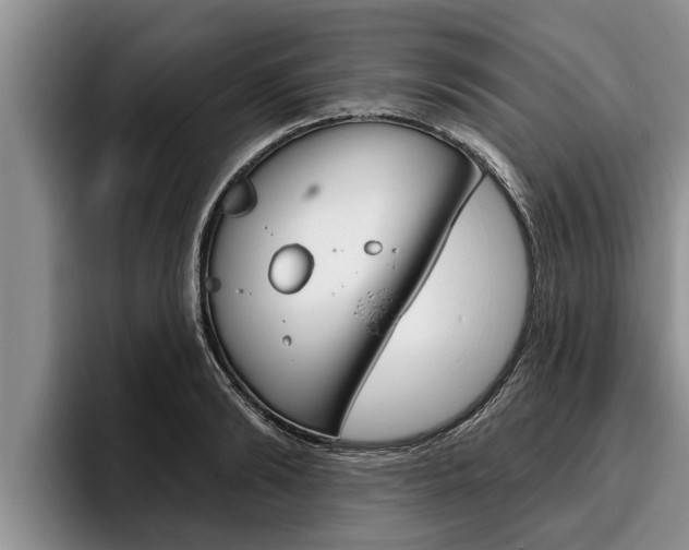 X0000096210894200801181007