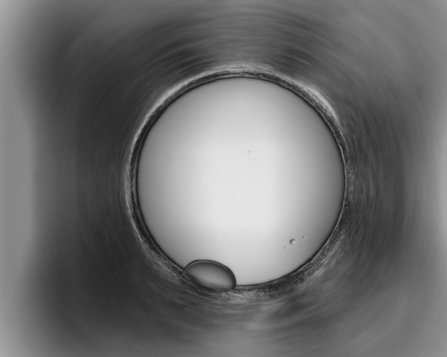 X0000096210895200801181007