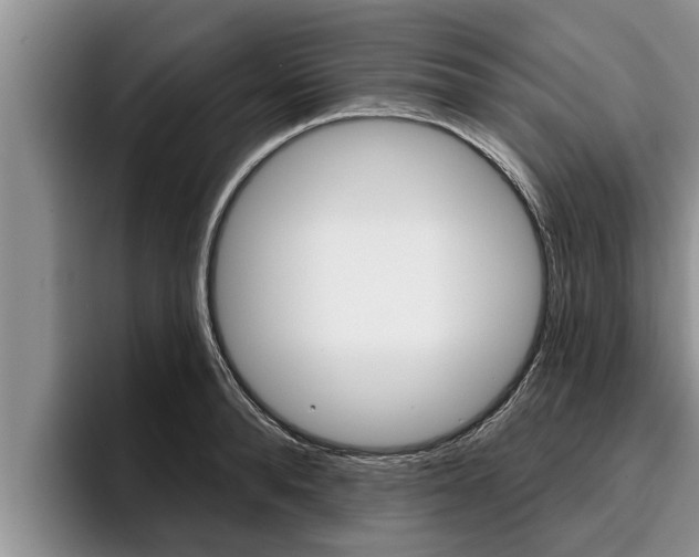 X0000096210896200801181007