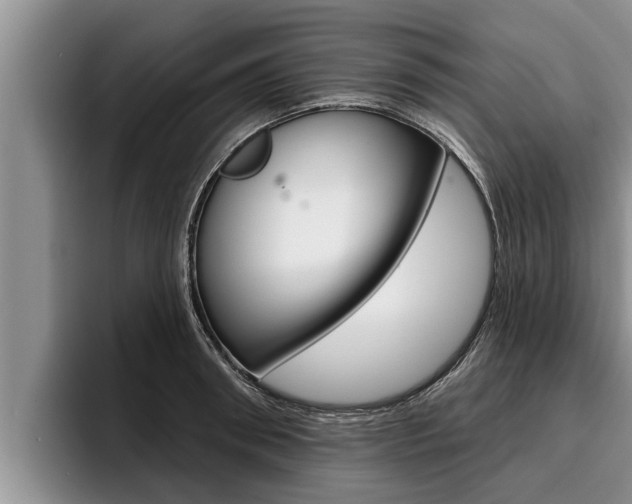 X0000096210898200801181007