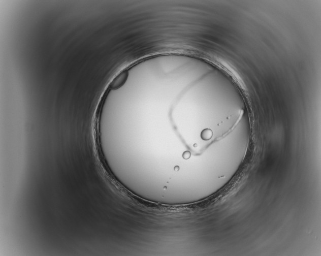 X0000096210899200801181007