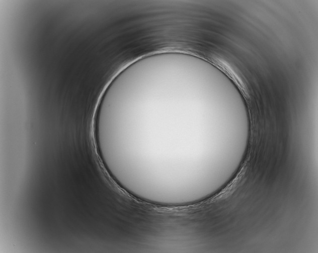 X0000096210900200801181007