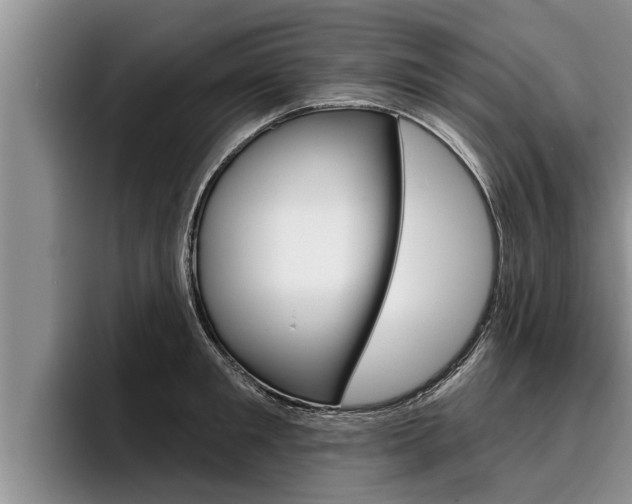 X0000096210901200801181007