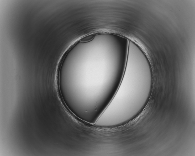 X0000096210902200801181007