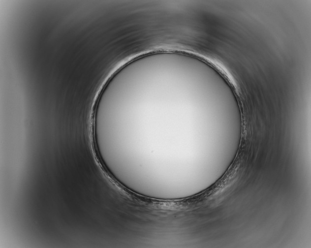 X0000096210903200801181007