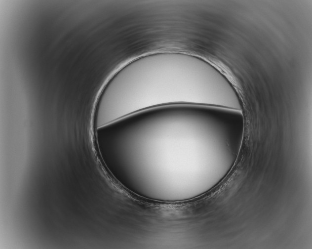 X0000096210904200801181007
