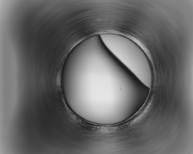 X0000096210905200801181007