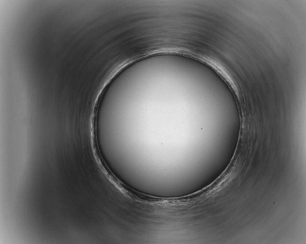 X0000096210906200801181007