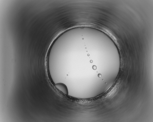 X0000096210907200801181007